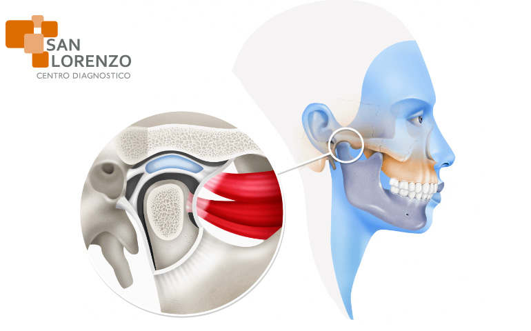 articulación-temporomandibular